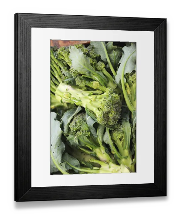 Framed Print : Vegetable, broccoli Framed Print : Vegetable, broccoli