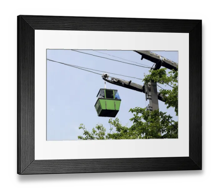 Framed Print : Cable car in Bronx zoo, New York