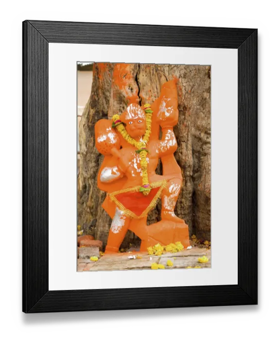 Framed Print : Lord hanuman monkey god, India
