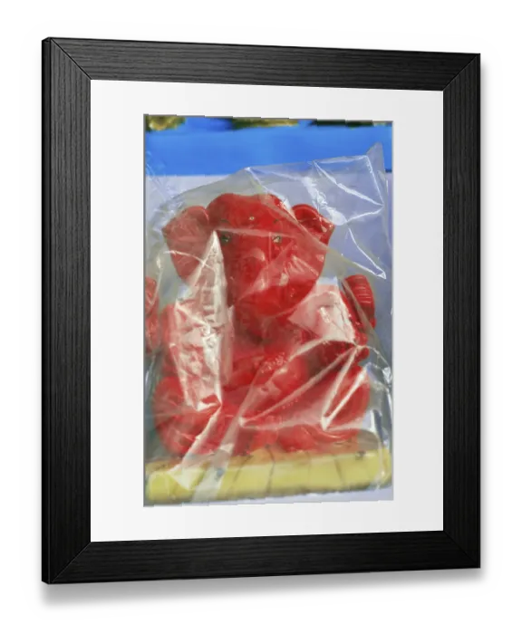 Framed Print : Ganesh ganpati festival, idol of elephant headed god in plastic cover
