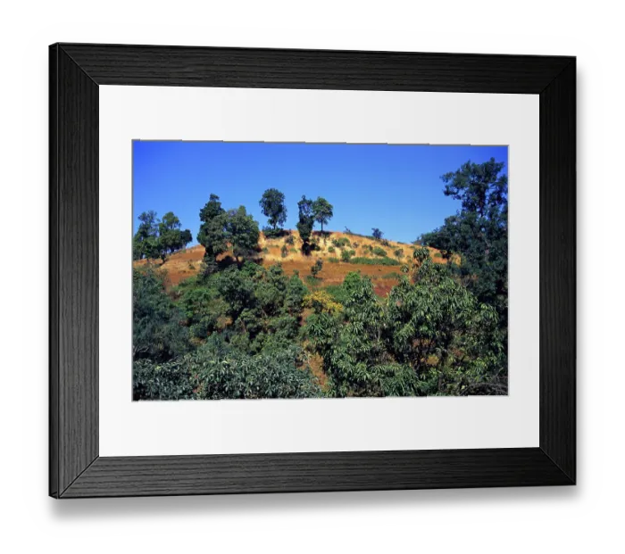 Framed Print : Landscape, Melghat, Amravati, Maharashtra, India