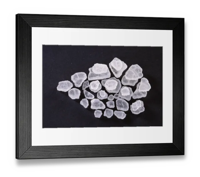 Framed Print : Ayurvedic herb, Kapur camphor cinnamomum camphora on black background Framed Print : Ayurvedic herb, Kapur camphor cinnamomum camphora on black background