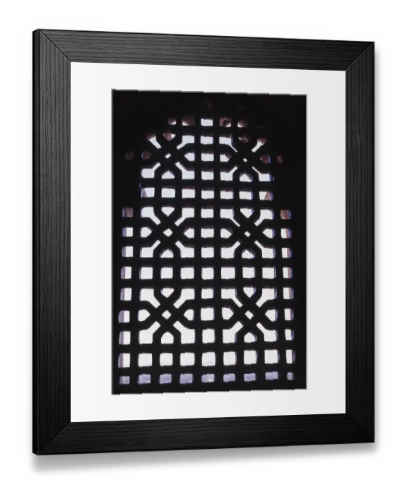 Framed Print : Carved stone jali, Badi Mahal, City Palace