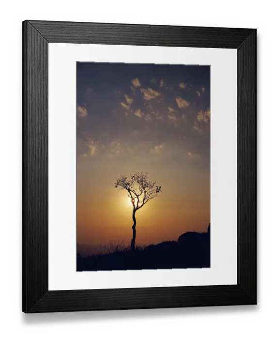 Framed Print : Sunset at Bhimashankar, Maharashtra, India, Asia