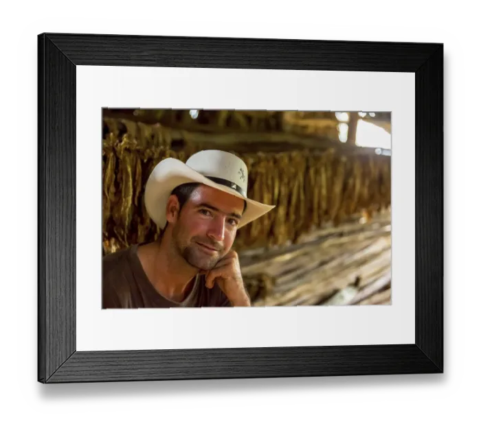 Framed Print : Tobacco farmer, tobacco farmer Luis Manne Alvares Rodrigues on his tobacco farm in the Vinales Valley Framed Print : Tobacco farmer, tobacco farmer Luis Manne Alvares Rodrigues on his tobacco farm in the Vinales Valley
