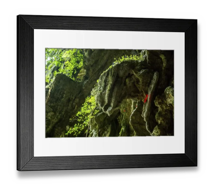 Framed Print : Dinosaur head on the cave walls Framed Print : Dinosaur head on the cave walls