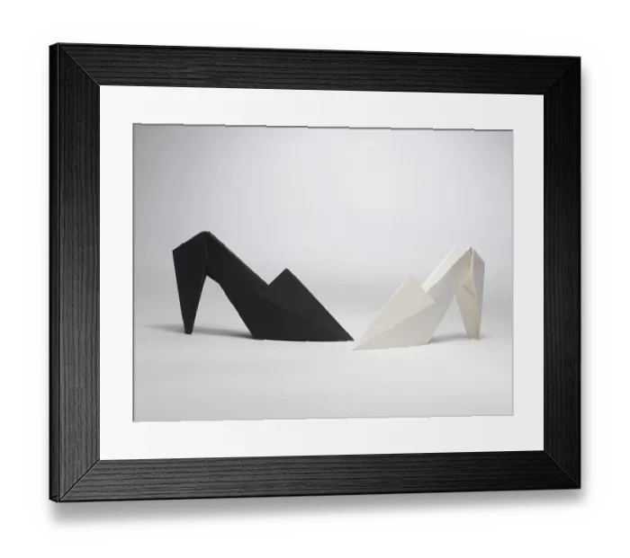 Framed Print : Origami shoes India