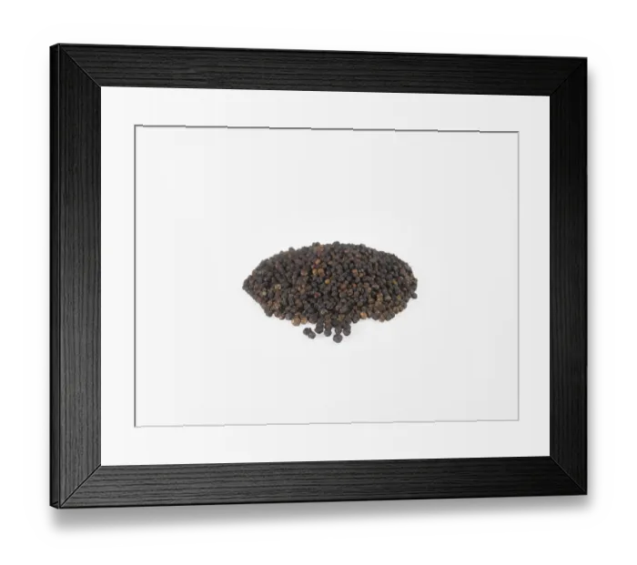 Framed Print : Spices, black pepper on white background