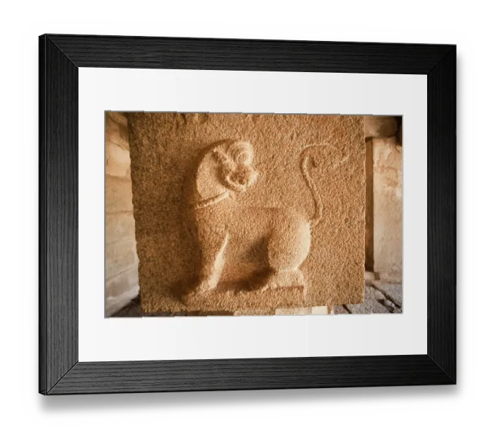 Framed Print : Sculpture of tiger on the pillar of achyutaraya temple