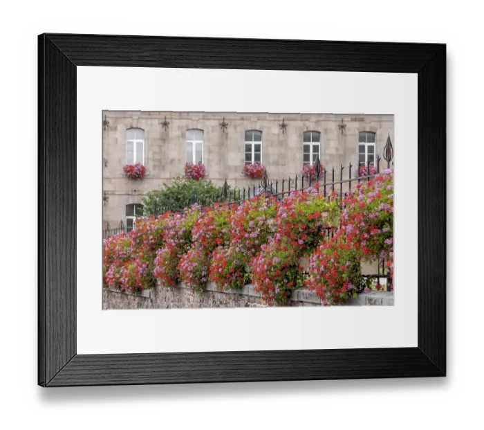 Framed Print : Lush floral decoration, Hotel de ville Framed Print : Lush floral decoration, Hotel de ville
