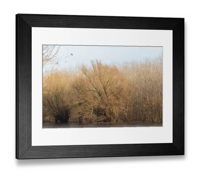 Framed Print : Autumn frozen lake with trees Framed Print : Autumn frozen lake with trees