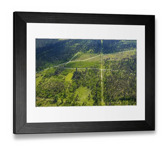 Framed Print : Aerial view, forest pastures Wistinghauser Senne nature reserve