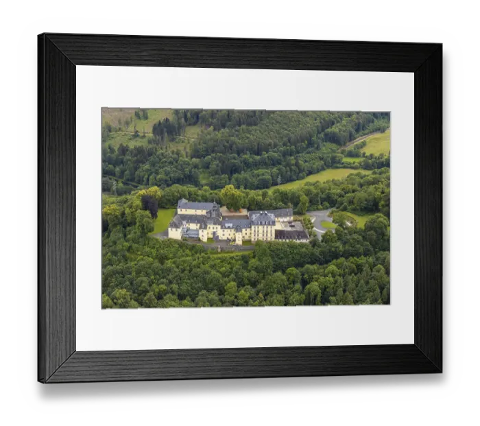 Framed Print : Aerial view, Wittgenstein Castle in the forest