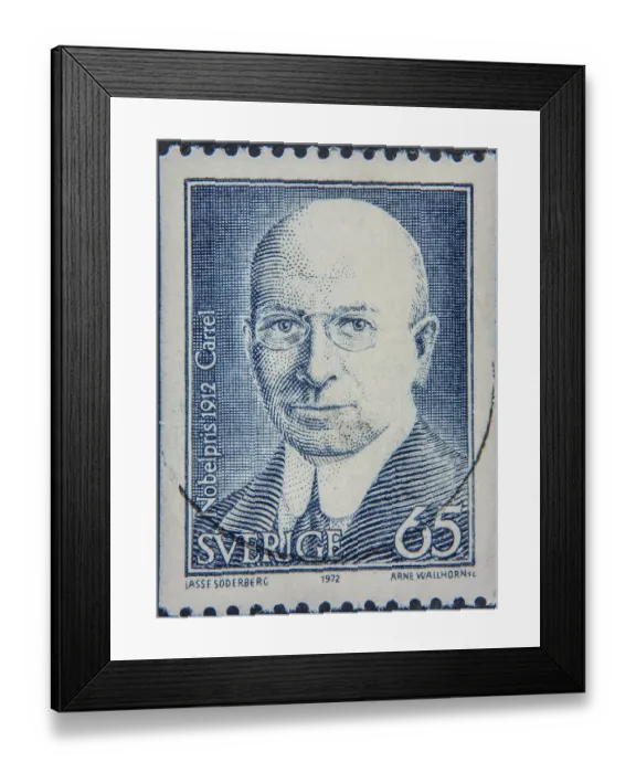 Framed Print : Alexis Carrel (1873, 1944) was a French physician Framed Print : Alexis Carrel (1873, 1944) was a French physician