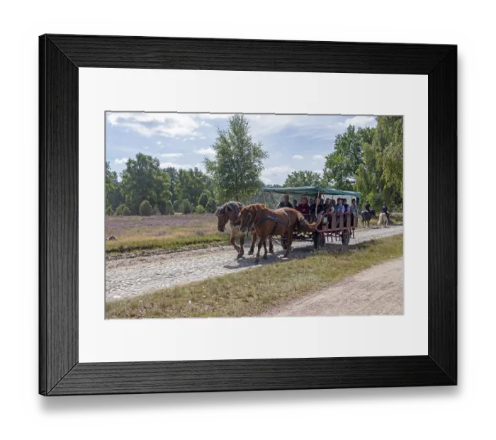 Framed Print : Horse-drawn carriage, female ambulance riders