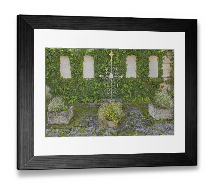 Framed Print : War memorial with traveller's joy (Clematis vitalba) Framed Print : War memorial with traveller's joy (Clematis vitalba)