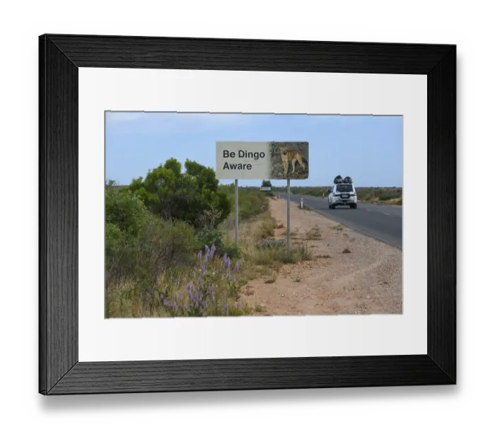 Framed Print : Beware of dingoes sign, near Exmouth