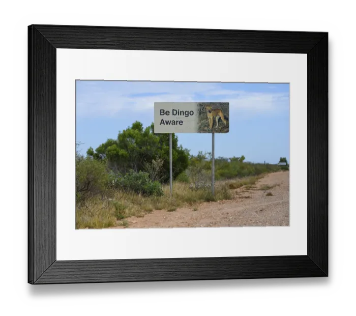 Framed Print : Beware of dingoes sign, near Exmouth
