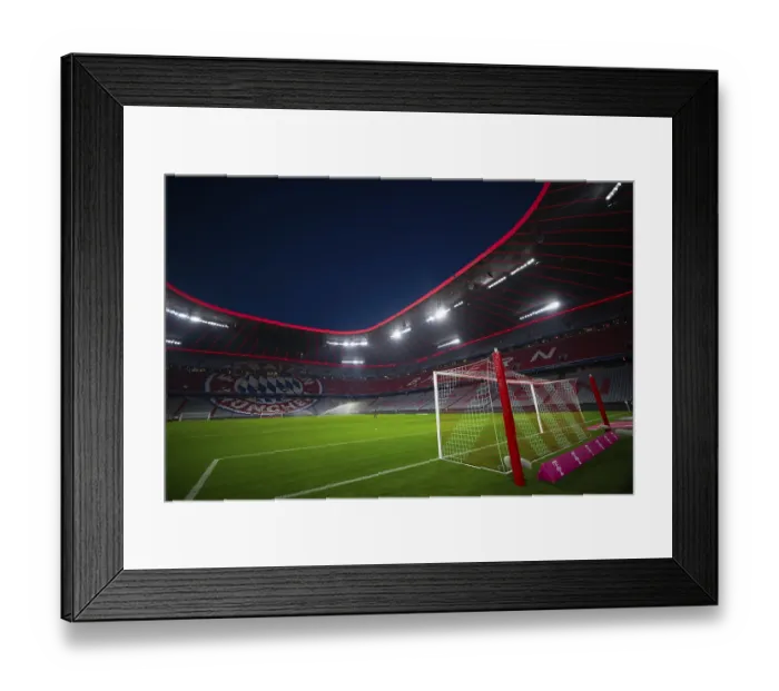 Framed Print : Tor tor, goal net, stadium, empty