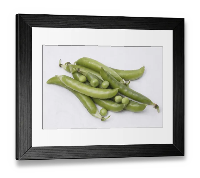Framed Print : Vegetable, Green Peas pod Pisum sativum with unpeel peas on white background