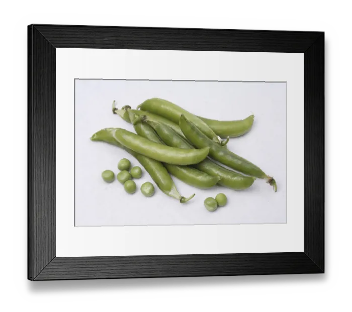 Framed Print : Vegetable, Green Peas pod Pisum sativum with unpeel peas on white background