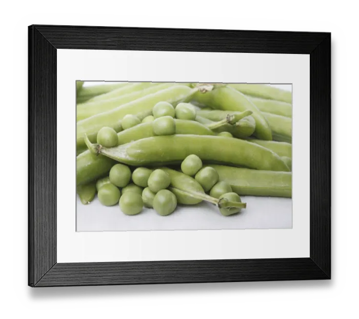 Framed Print : Vegetable, Green Peas pod Pisum sativum with unpeel peas on white background