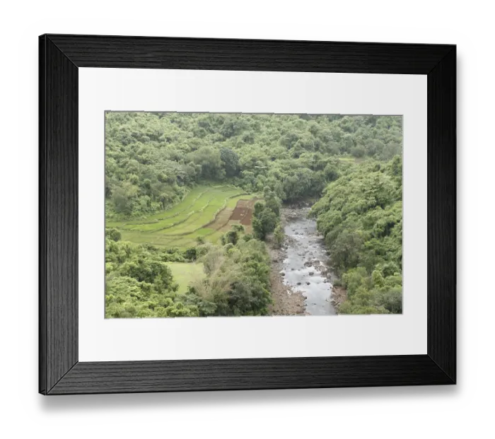 Framed Print : Aerial view of dense forest Framed Print : Aerial view of dense forest