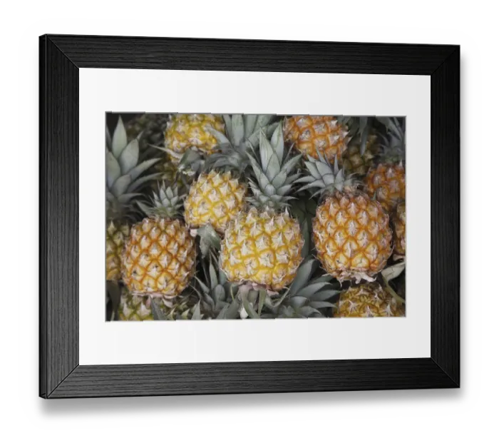 Framed Print : Fruit, Pineapple Ananas comosus Framed Print : Fruit, Pineapple Ananas comosus