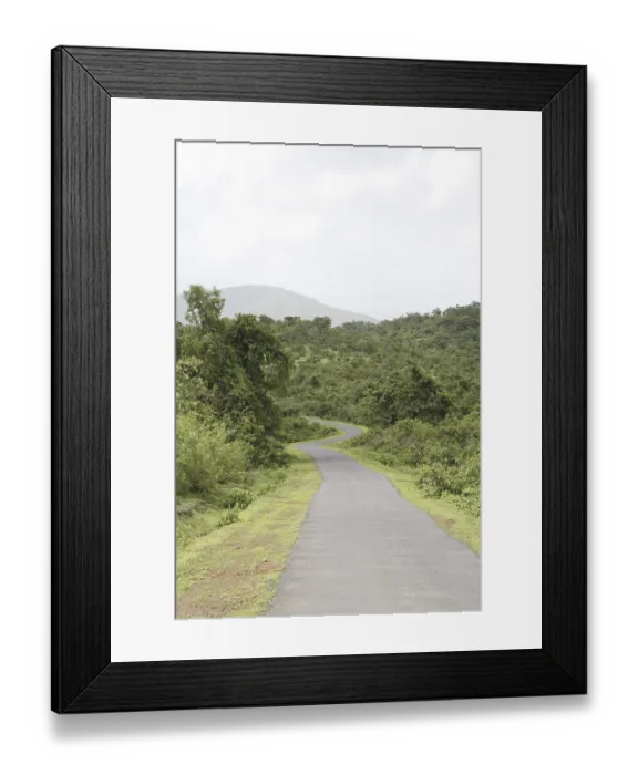 Framed Print : Winding way, Konkan, Maharashtra, India NO PR Framed Print : Winding way, Konkan, Maharashtra, India NO PR