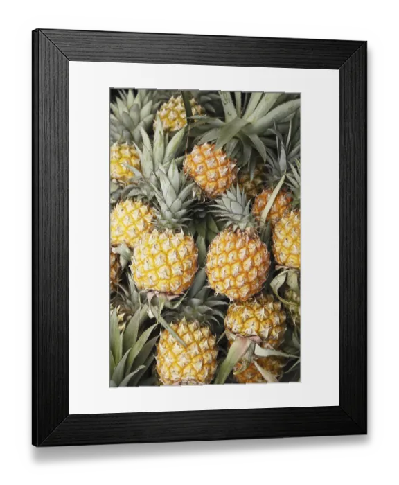 Framed Print : Fruit, Pineapple Ananas comosus Framed Print : Fruit, Pineapple Ananas comosus