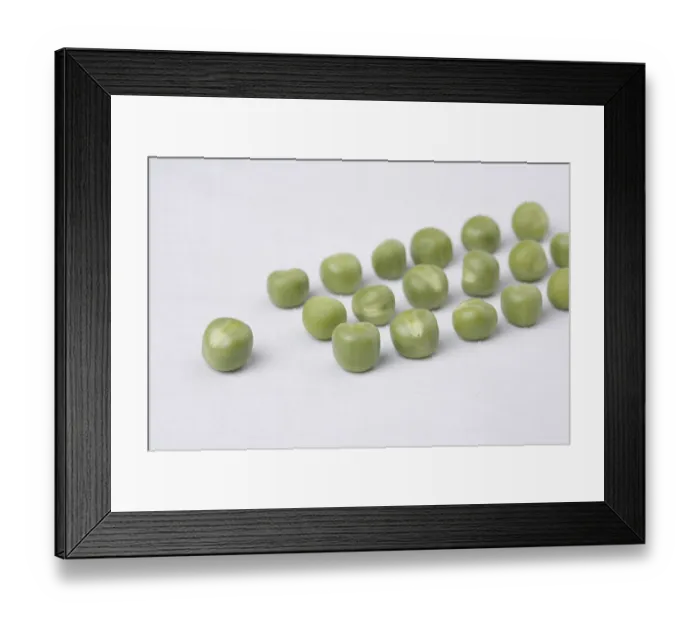 Framed Print : Vegetable, unpeel Green Peas arranged as parade and leader Pisum sativum on white background