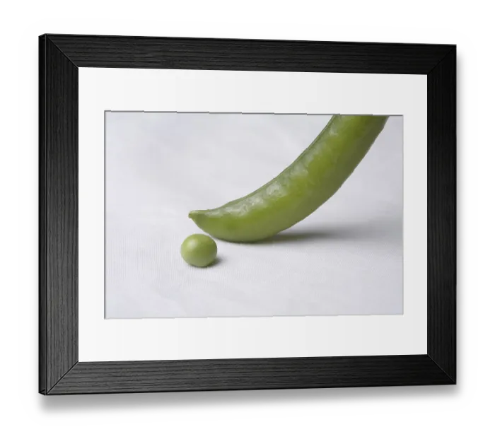 Framed Print : Vegetable, one Green Peas pod Pisum sativum with unpeel pea arranged as hockey stick and boll on white background