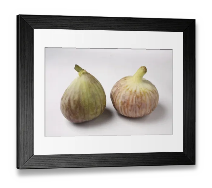 Framed Print : Fruit, Figs Ficus Carica Anjir on white background Framed Print : Fruit, Figs Ficus Carica Anjir on white background