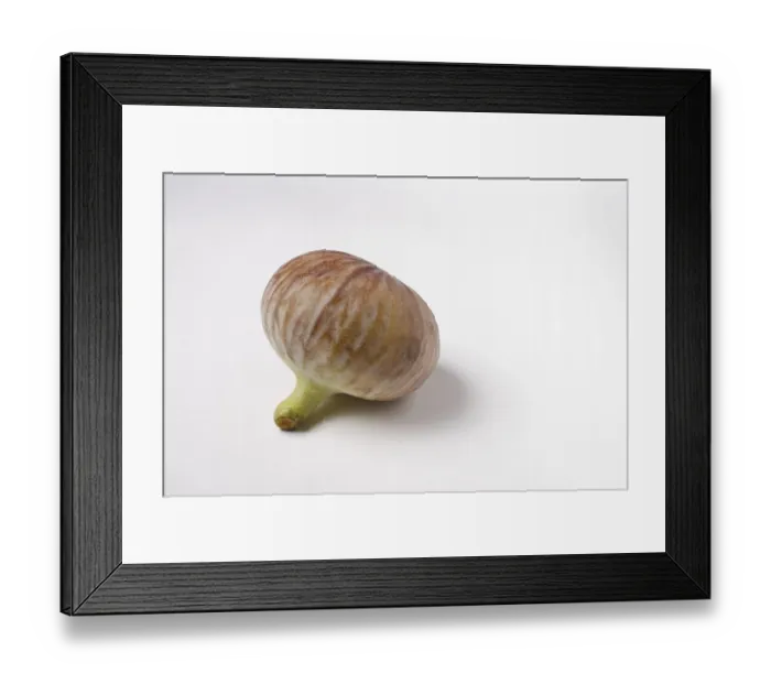 Framed Print : Fruit, Fig Ficus Carica Anjir on white background Framed Print : Fruit, Fig Ficus Carica Anjir on white background