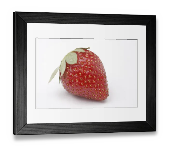 Framed Print : Fruit, Strawberry Fragaria Ananassa on white background