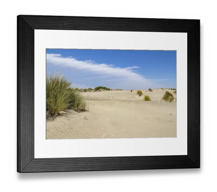 Framed Print : Sunny scenery at the Espiguette Beach in southern France