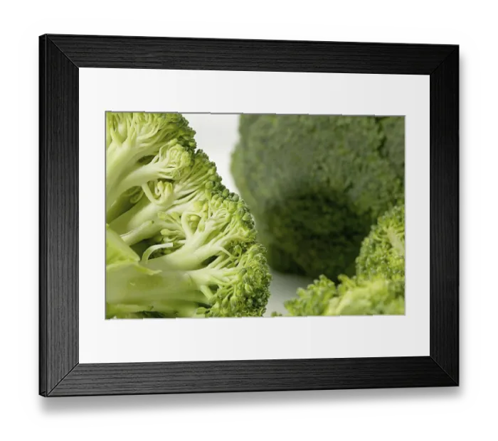 Framed Print : Vegetable, Broccoli on white background
