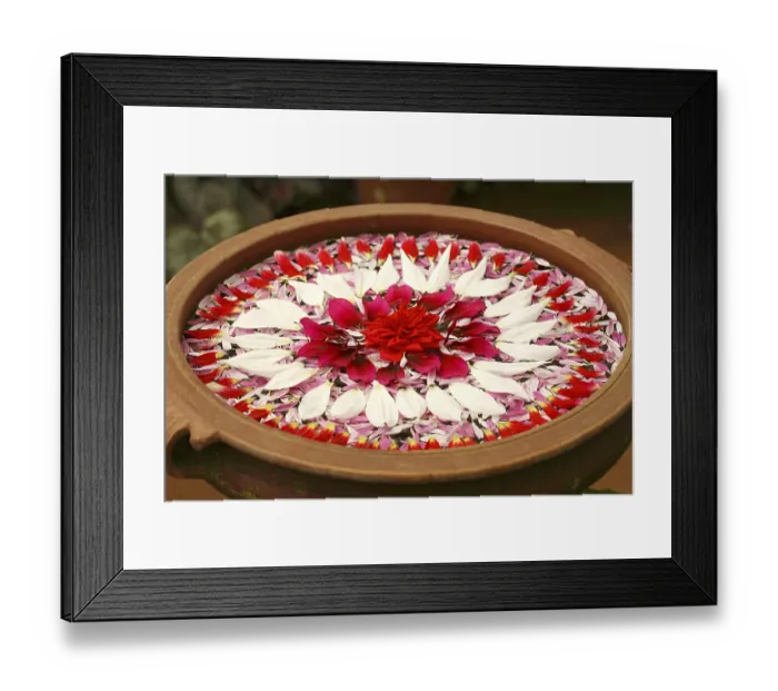 Framed Print : Flower petals decoration floating on water in earthen pot