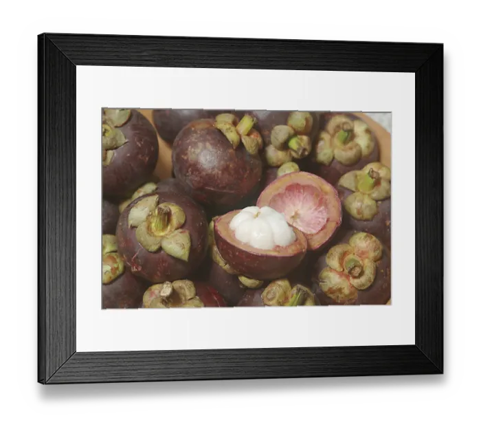 Framed Print : Nature, Fruit, Mangolsteen Garcinia Mangostana Guttiferae