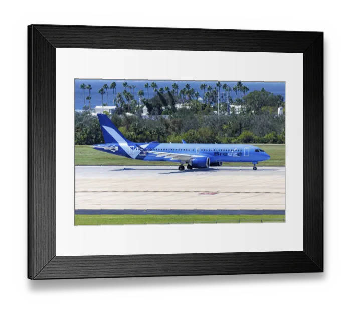 Framed Print : An Airbus A220-300 aircraft of Breeze Airways with the registration number N206BZ at Tampa Airport Framed Print : An Airbus A220-300 aircraft of Breeze Airways with the registration number N206BZ at Tampa Airport