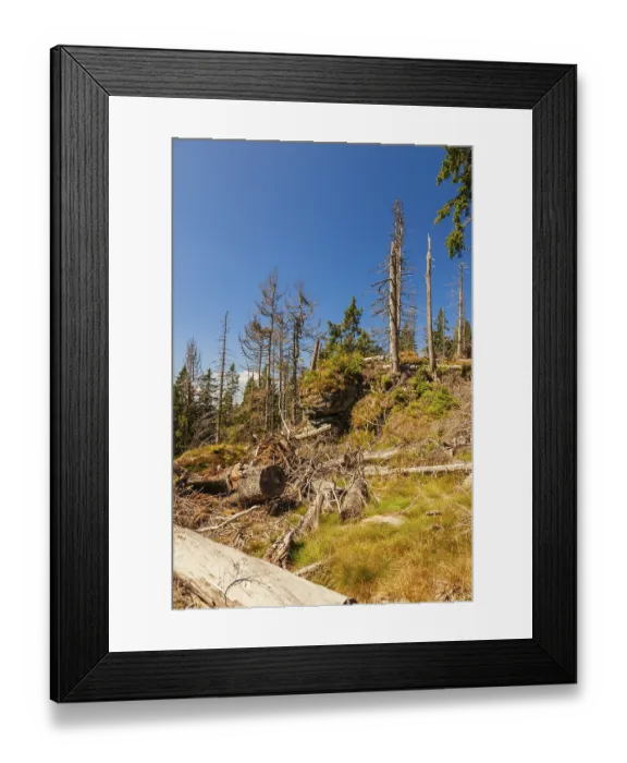 Framed Print : Bavarian Forest, Falkenstein area