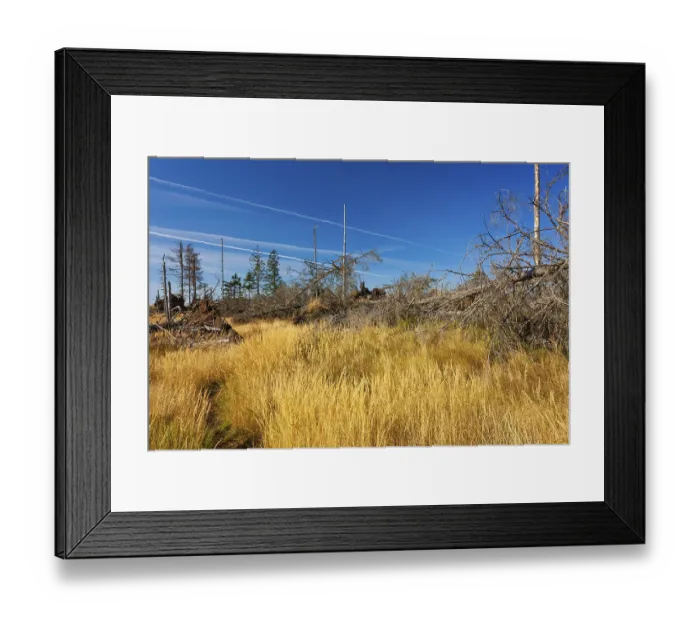 Framed Print : Bavarian Forest, Falkenstein area