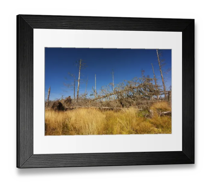 Framed Print : Bavarian Forest, Falkenstein area Framed Print : Bavarian Forest, Falkenstein area