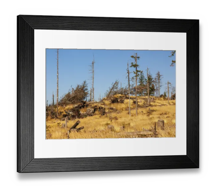 Framed Print : Bavarian Forest, Falkenstein area Framed Print : Bavarian Forest, Falkenstein area