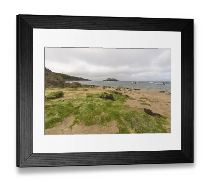 Framed Print : Beach with green algae covered sand and rocks at Cancale Framed Print : Beach with green algae covered sand and rocks at Cancale
