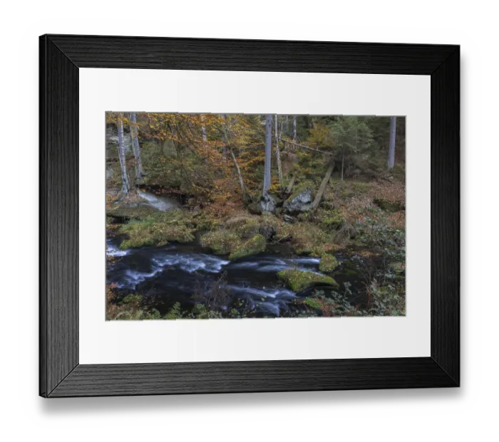 Framed Print : Flowing water with ferns and rocks in the Edmunds Gorge in autumn