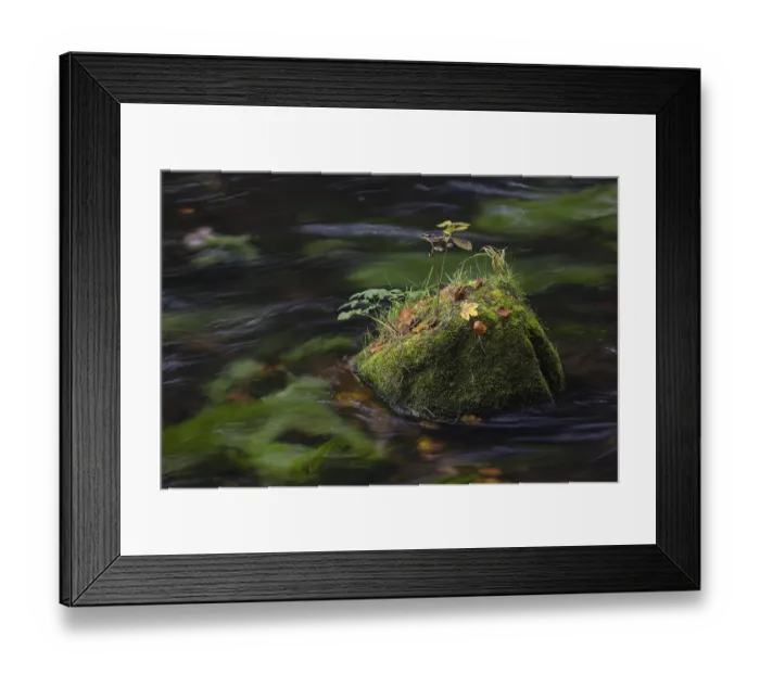 Framed Print : Flowing water with ferns and rocks in the Edmunds Gorge in autumn