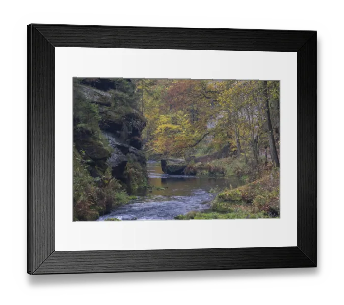 Framed Print : Flowing water with ferns and rocks in the Edmunds Gorge in autumn