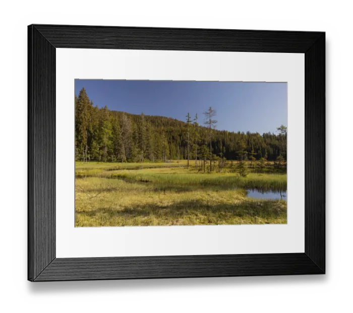 Framed Print : Lake GroBer Arbersee in spring