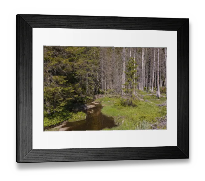 Framed Print : Lake GroBer Arbersee in spring